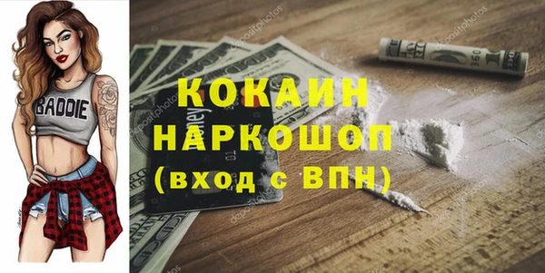 СК Алексин
